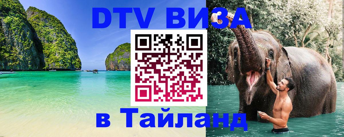 Оформление DTV визы под ключ: стоимость и тарифы, только загранпаспорт - 